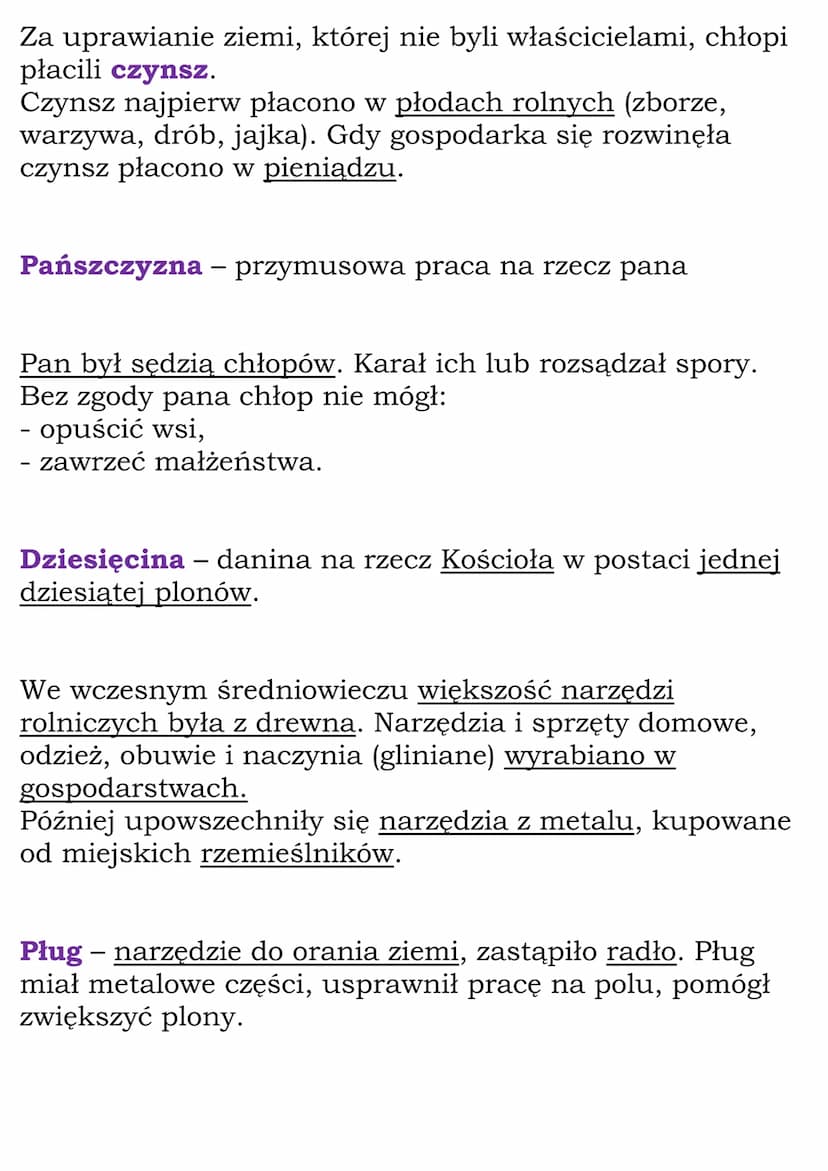 Społeczeństwo, władza i
kultura średniowiecznej
Europy
Cały dział
(WSiP, kl 5, dział V)
Rycerstwo i system lenny
System lenny – system, któr