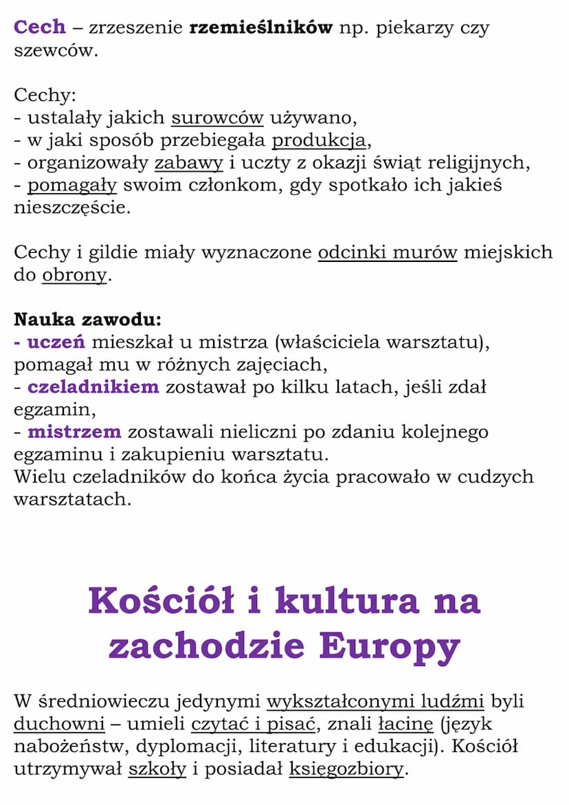 Społeczeństwo, władza i
kultura średniowiecznej
Europy
Cały dział
(WSiP, kl 5, dział V)
Rycerstwo i system lenny
System lenny – system, któr