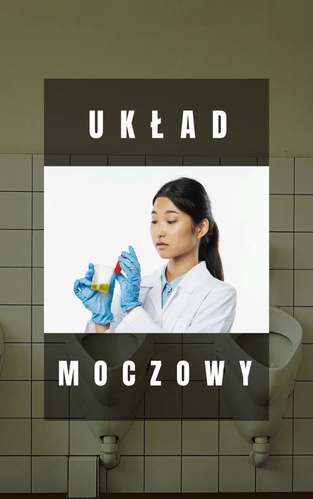 UKŁAD
MOCZOWY 1. nerki
FUNKCJE
4 produkcja i wydalanie moczu razem z toksycznymi i zbędnymi metabolitami
↳regulacja gospodarki wodno-elektro