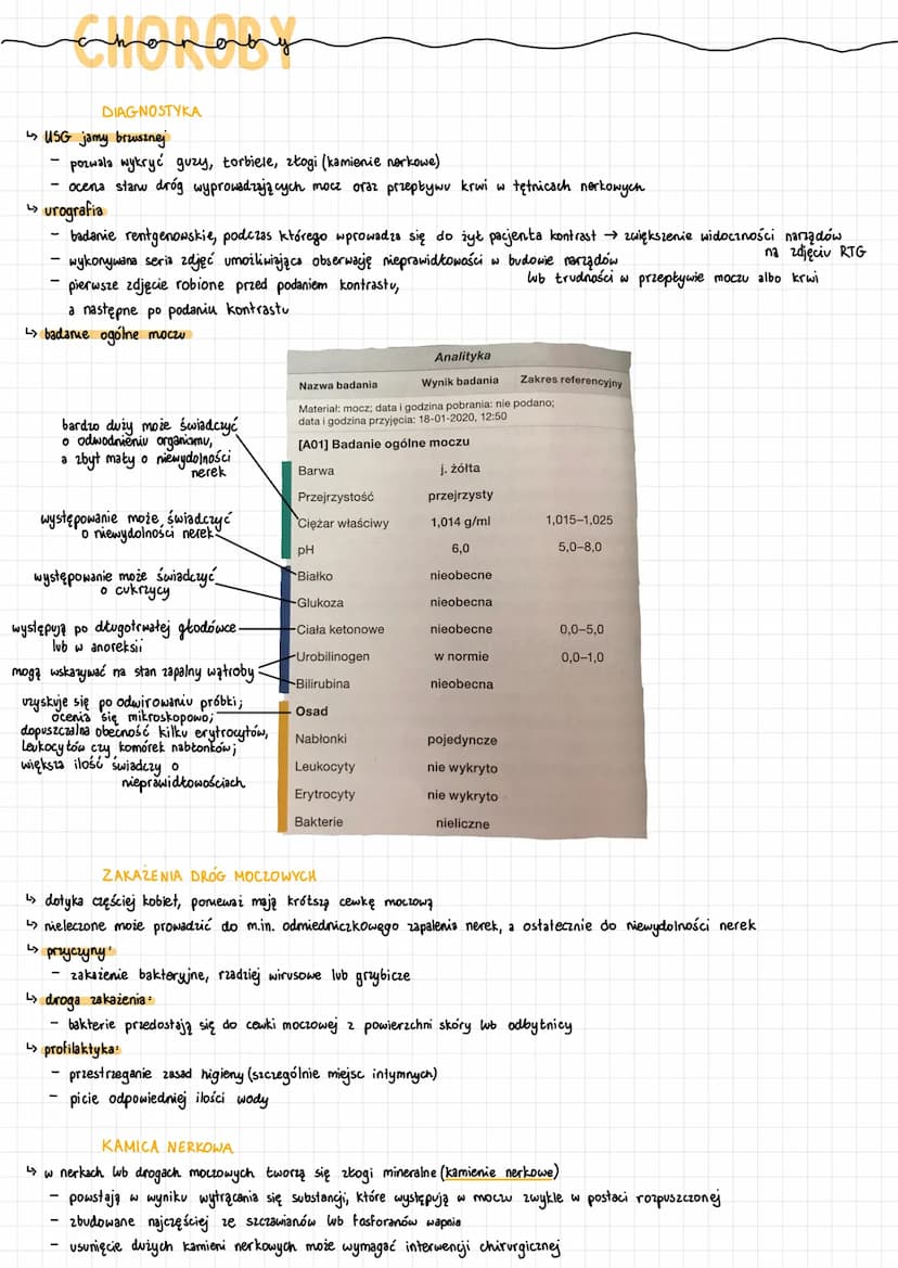 UKŁAD
MOCZOWY 1. nerki
FUNKCJE
4 produkcja i wydalanie moczu razem z toksycznymi i zbędnymi metabolitami
↳regulacja gospodarki wodno-elektro