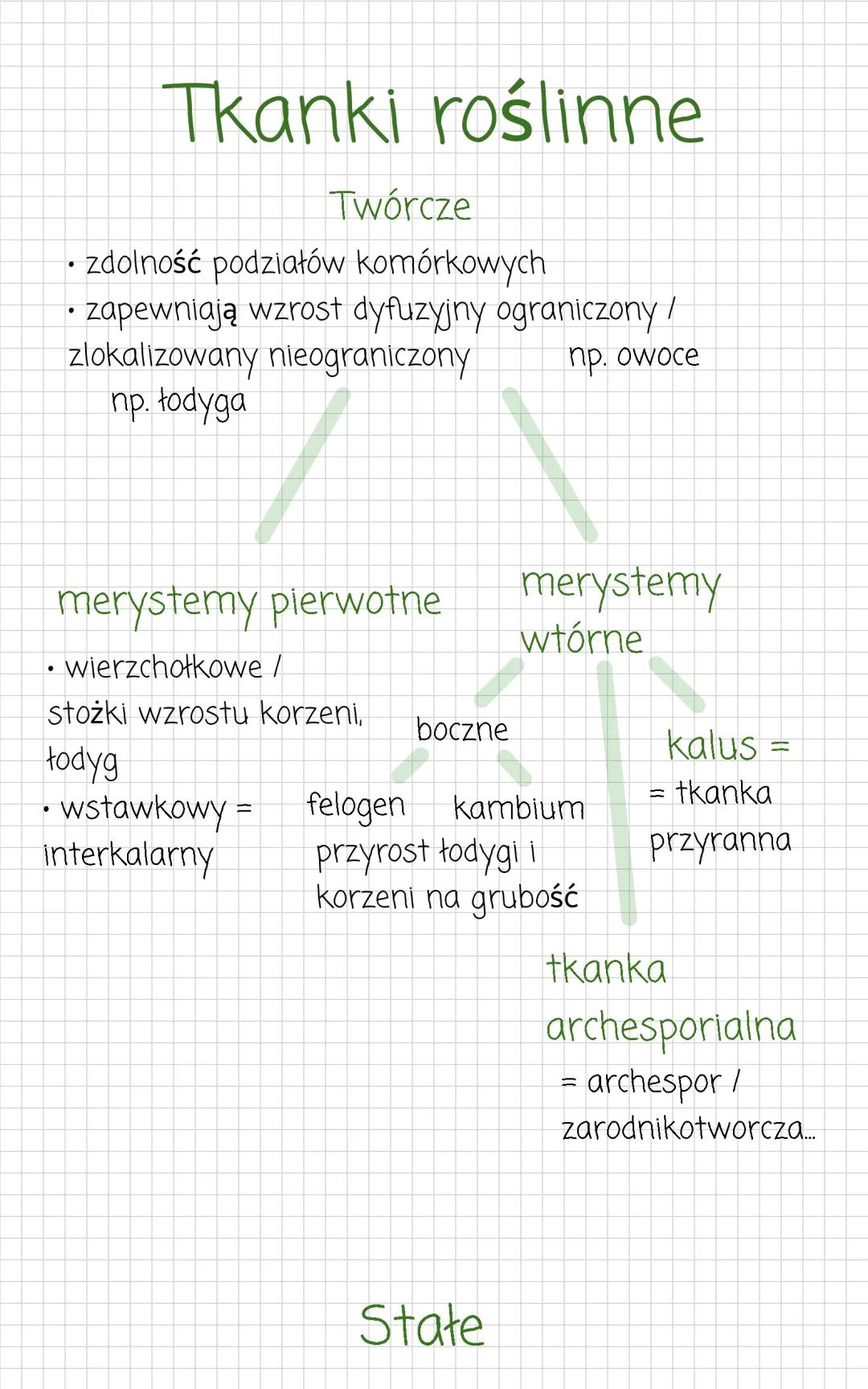 Tkanki roślinne klasa 5: rodzaje, budowa i funkcje