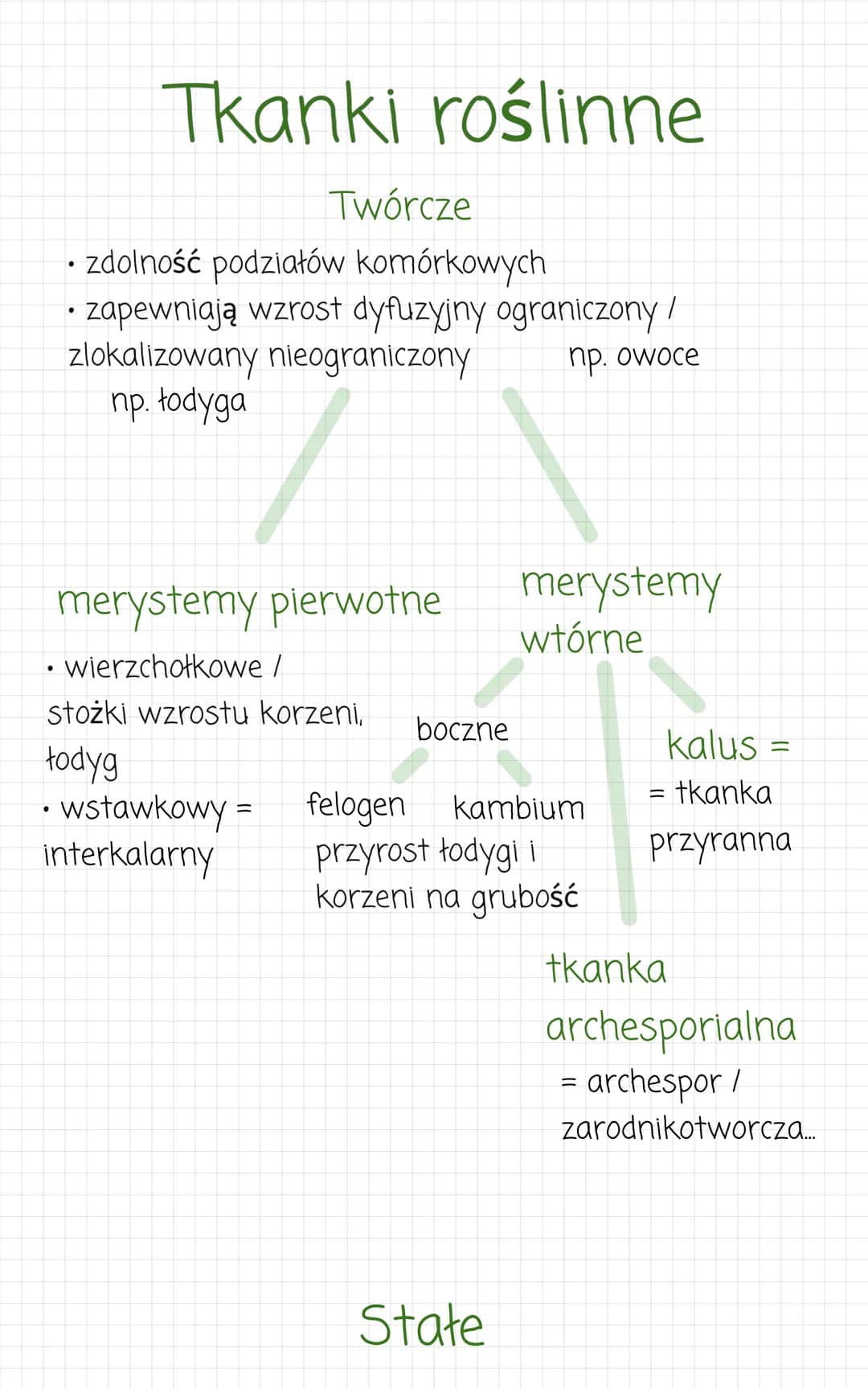 Tkanki roślinne
Twórcze
zdolność podziałów komórkowych
• zapewniają wzrost dyfuzyjny ograniczony /
zlokalizowany nieograniczony
np. łodyga
n