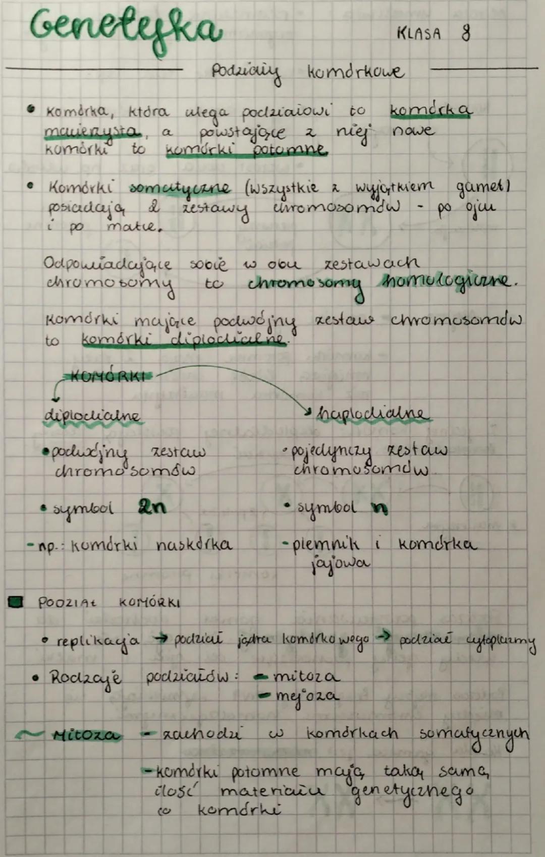 Genetyka
KLASA 8

Podziaiy komórkowe

• komórka, która ulega podziałowi to komórka
mavezysta, a powstające z niej nowe
komórki to komórki po