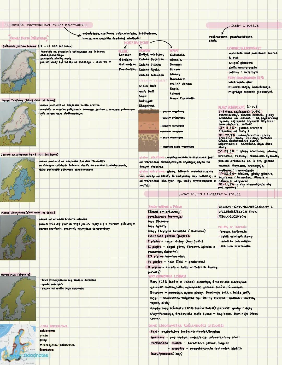 Geografia Polski: Morze Bałtyckie, Gleby, Rośliny i Zwierzęta