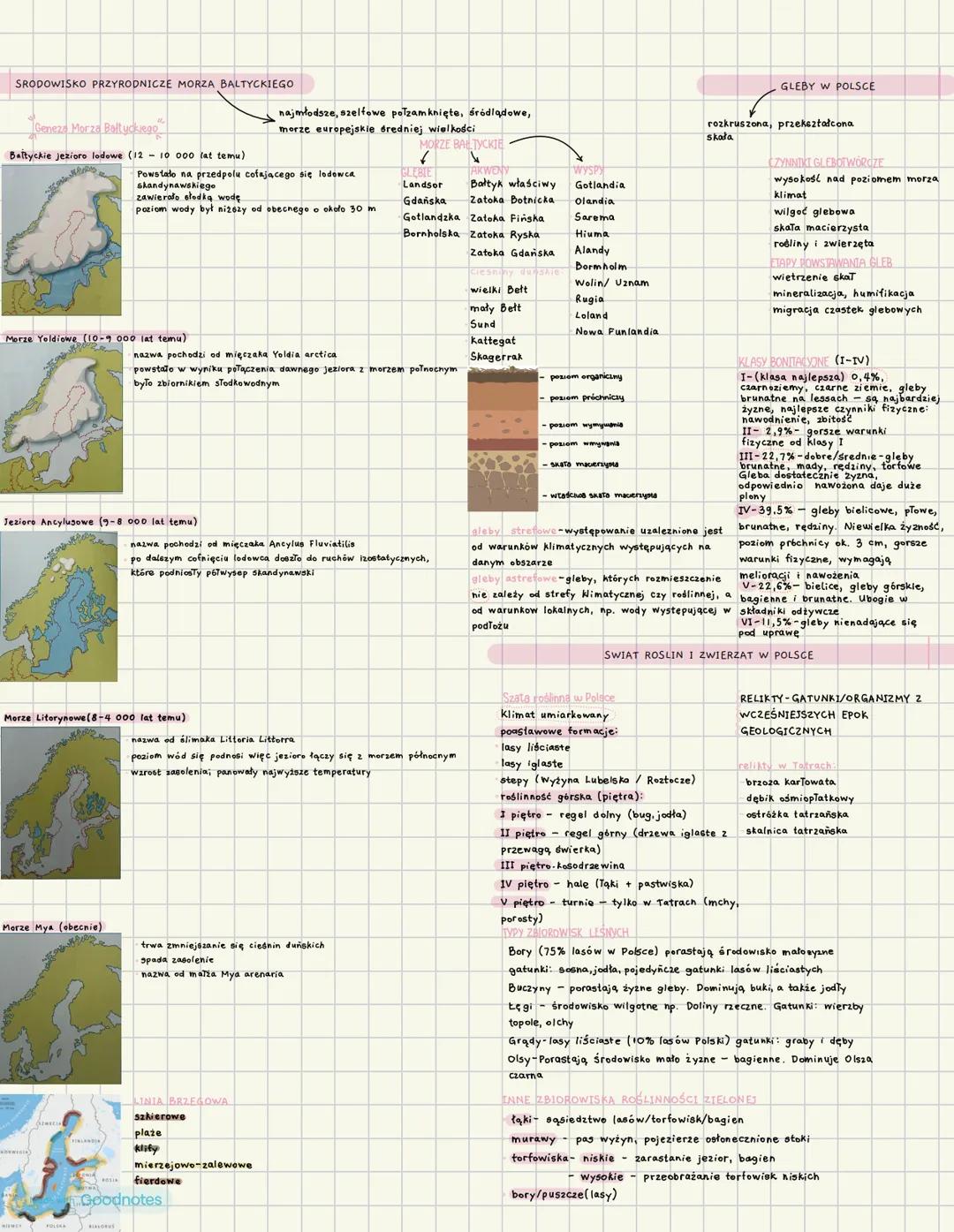 SRODOWISKO PRZYRODNICZE MORZA BALTYCKIEGO
Geneza Morza Baltyckiego
najmłodsze, szelfowe połzamknięte, śródlądowe,
morze europejskie średniej