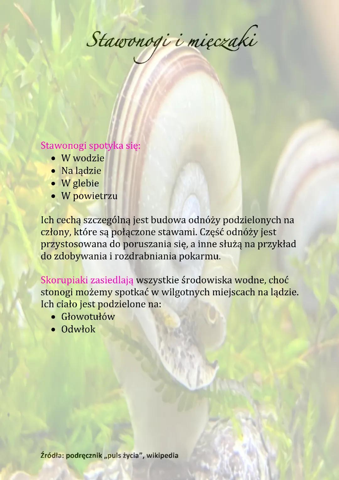 Stawonogi i mięczaki