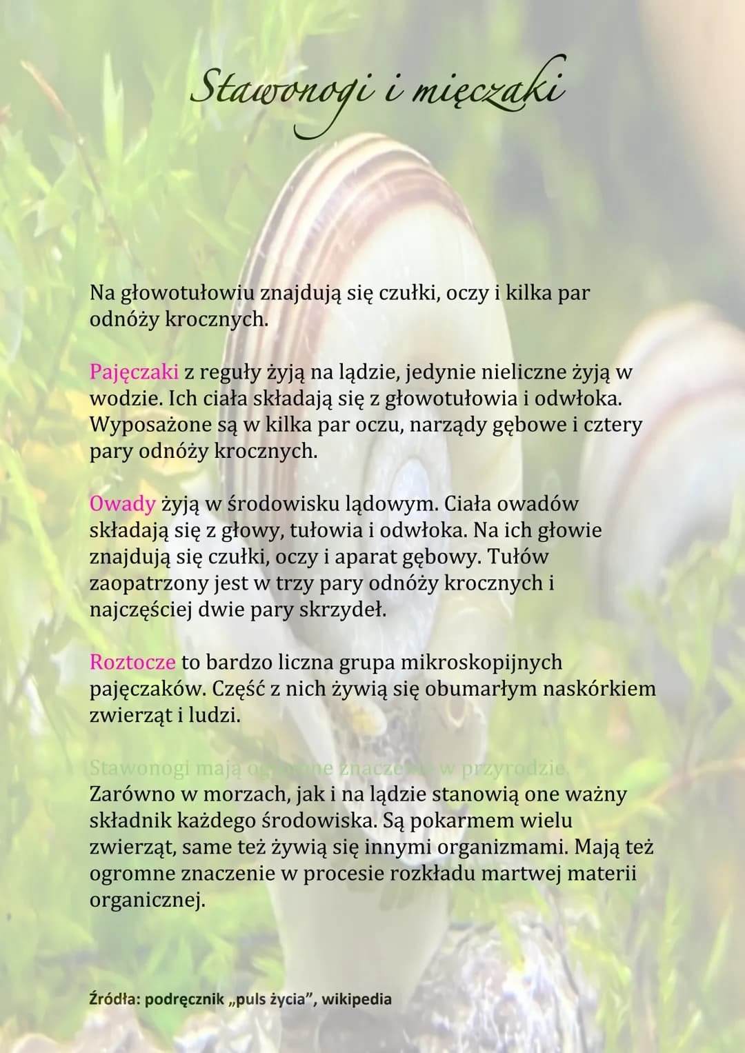 Stawonogi i mięczaki
Stawonogi spotyka się:
• W wodzie
• Na lądzie
. W glebie
• W powietrzu
Ich cechą szczególną jest budowa odnóży podzielo