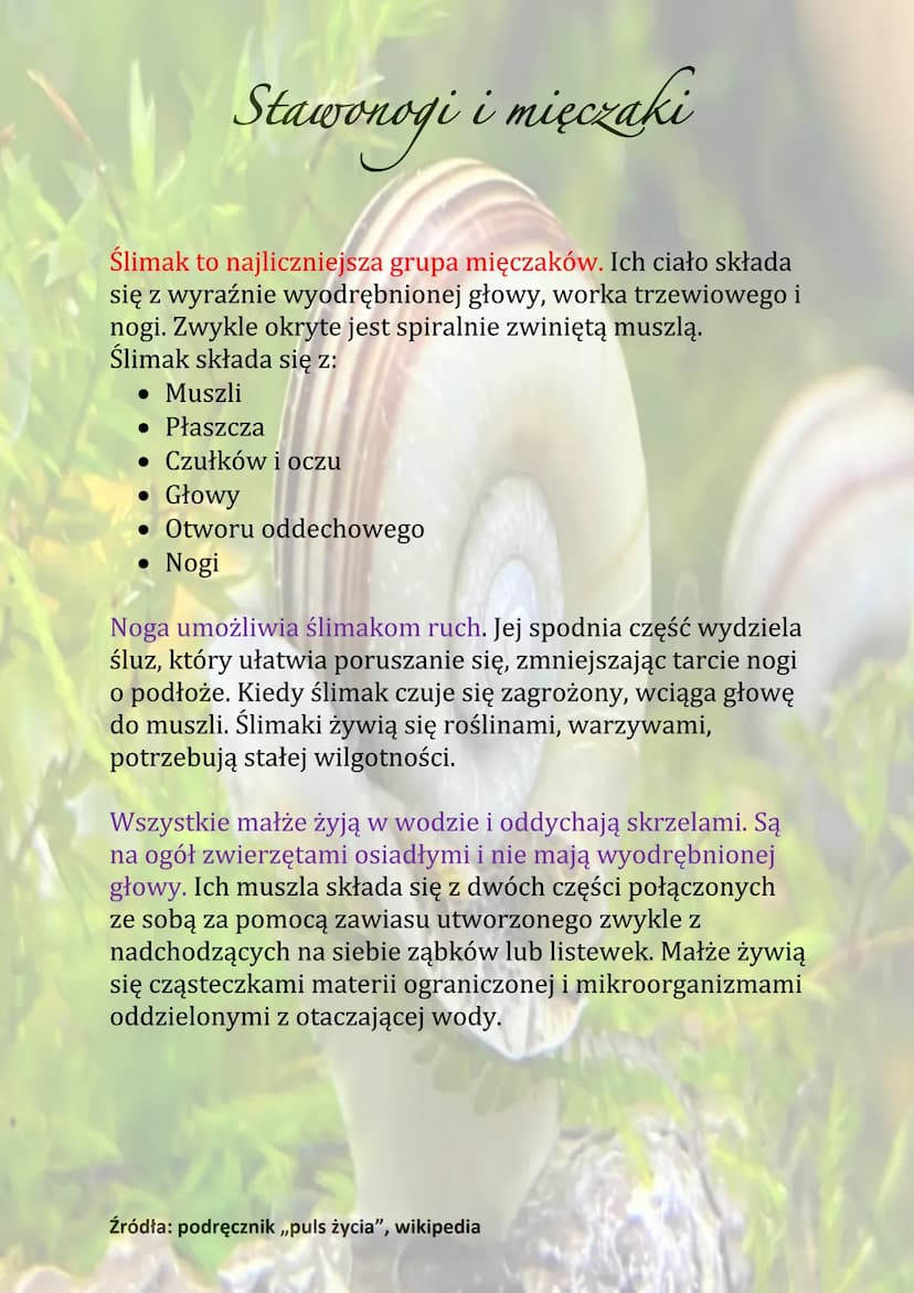 Stawonogi i mięczaki
Stawonogi spotyka się:
• W wodzie
• Na lądzie
. W glebie
• W powietrzu
Ich cechą szczególną jest budowa odnóży podzielo