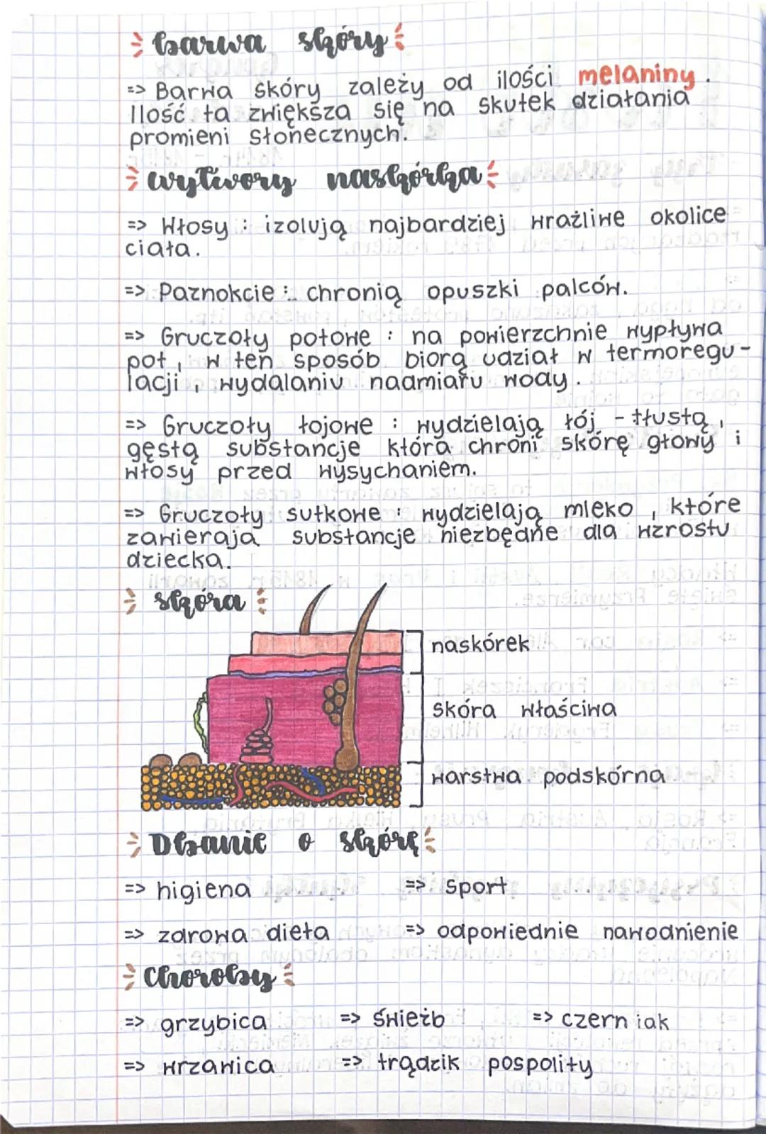 ## biologia

Dzia	1

Komórka → Tkanka → Narząd → Układ
narządów → Organizm

**rodzaje tkanek**

=> tkanka mięśniowa : gładka, poprzecznie
pr