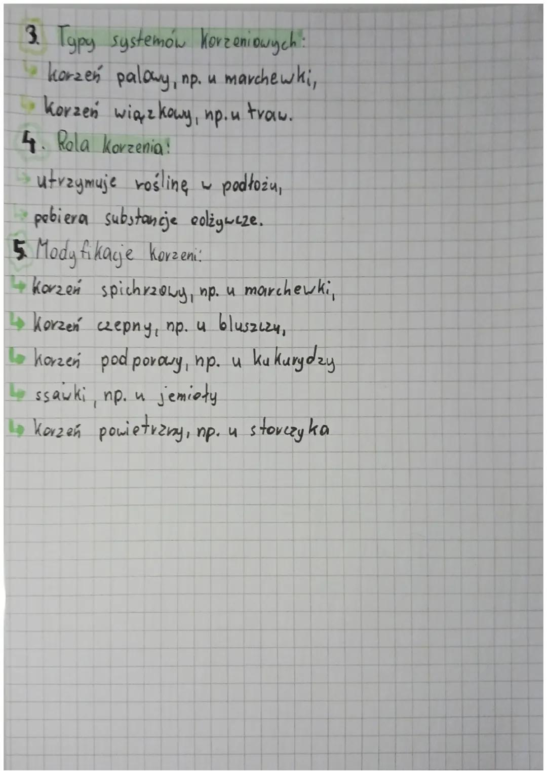 # BUDOWA

KORZENIA

Budowa zewnętrzna Korzenia:

stre fa korzeni bocznych

strefa włośnikowa

strefa wydłużona

stożek wzrostu

czapeczka

1