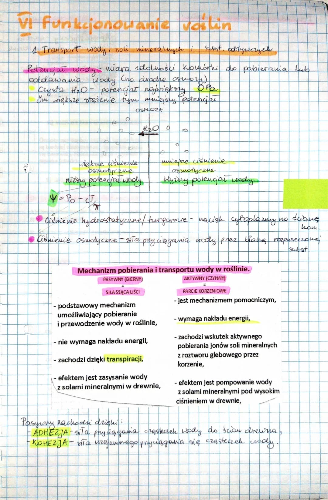 Vi furtconovanie votin
1. Transport wody soli mineralnych i
Potencjał wody
oddawania wody
miara dolności komórhi do pobierania lub
(no dvadn