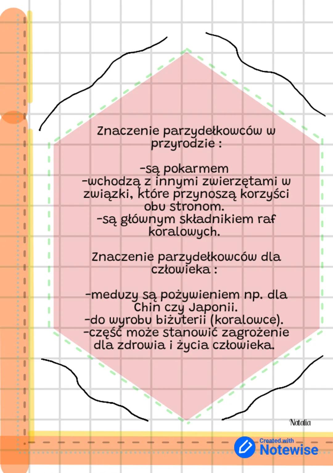 Parzydełkowce
Polip składa się z Otwóru
Gębowego, Czułki, Stopa. W środku
polipa jest Jama
Chlonąco-Trawiąca, Galaretowata
Substancja,
Warst