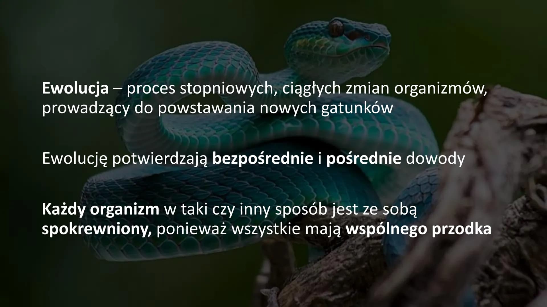 EWOLUCJA Ewolucja - proces stopniowych, ciągłych zmian organizmów,
prowadzący do powstawania nowych gatunków
Ewolucję potwierdzają bezpośred