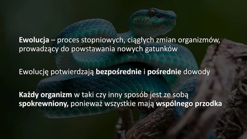 EWOLUCJA Ewolucja - proces stopniowych, ciągłych zmian organizmów,
prowadzący do powstawania nowych gatunków
Ewolucję potwierdzają bezpośred
