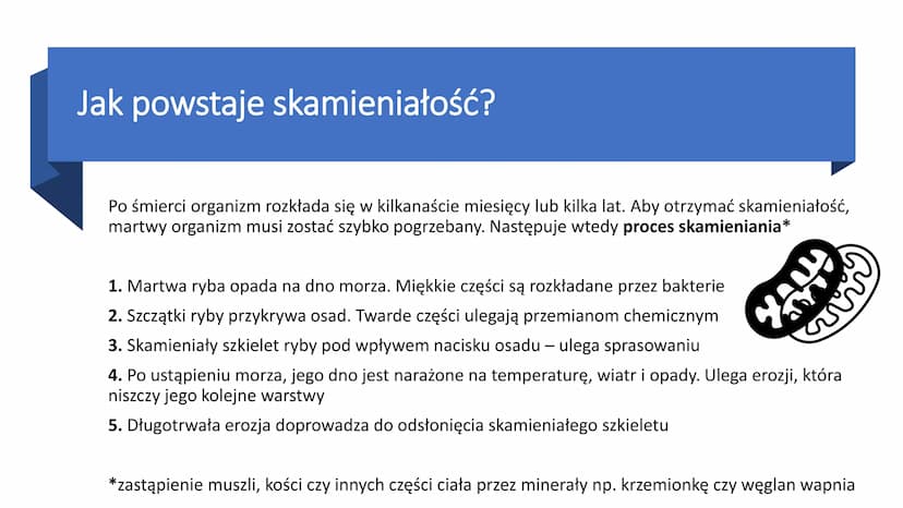 EWOLUCJA Ewolucja - proces stopniowych, ciągłych zmian organizmów,
prowadzący do powstawania nowych gatunków
Ewolucję potwierdzają bezpośred