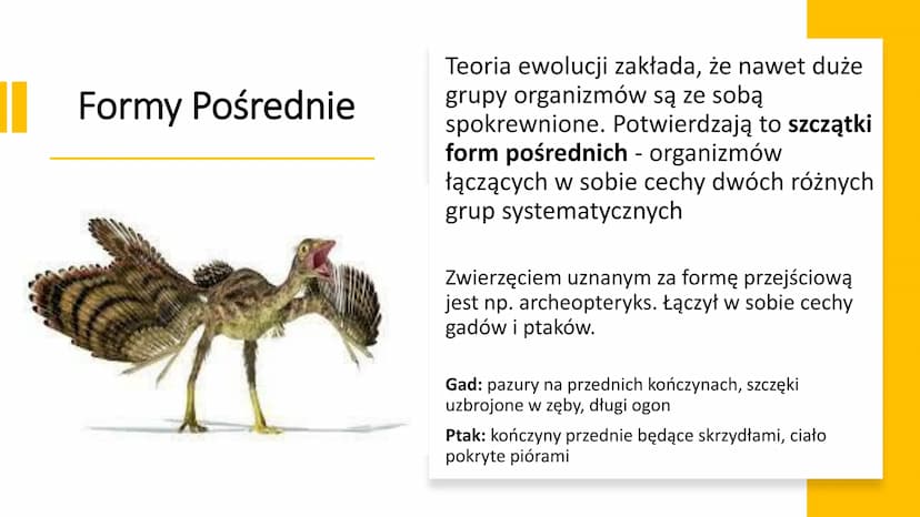 EWOLUCJA Ewolucja - proces stopniowych, ciągłych zmian organizmów,
prowadzący do powstawania nowych gatunków
Ewolucję potwierdzają bezpośred