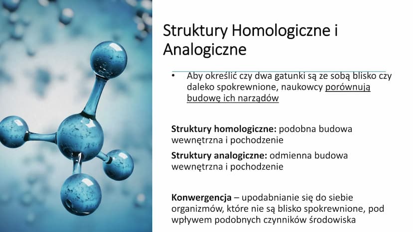 EWOLUCJA Ewolucja - proces stopniowych, ciągłych zmian organizmów,
prowadzący do powstawania nowych gatunków
Ewolucję potwierdzają bezpośred