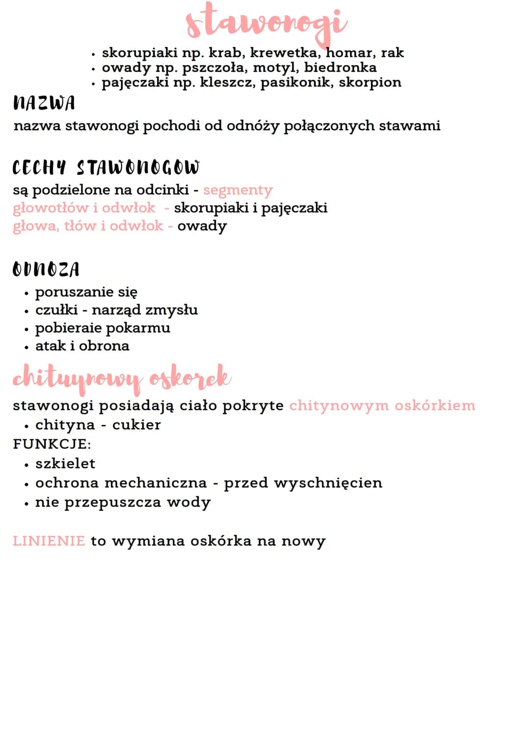 ODNOZA
NAZWA
nazwa stawonogi pochodi od odnóży połączonych stawami
●
staworogi
skorupiaki np. krab, krewetka, homar, rak
owady np. pszczoła,