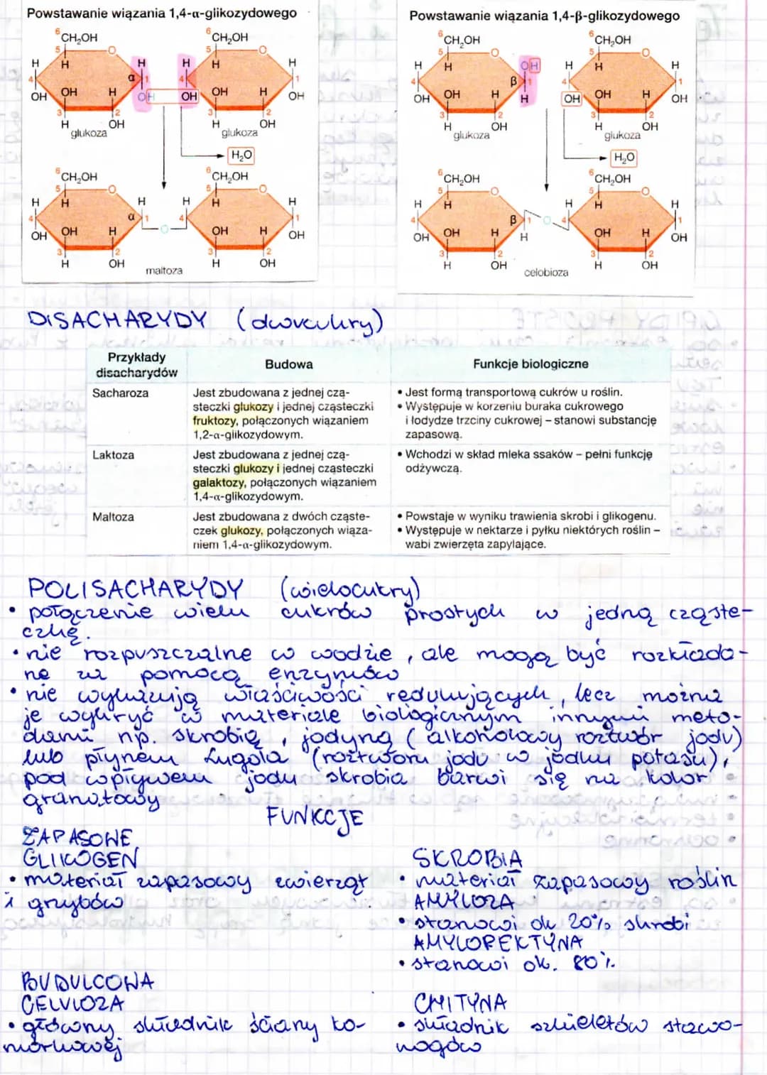 
<p>Węglowodany to związki chemiczne złożone z atomów węgla (C), tlenu (O) i wodoru (H). Ze względu na budowę cząsteczek cukrów wyróżniamy r