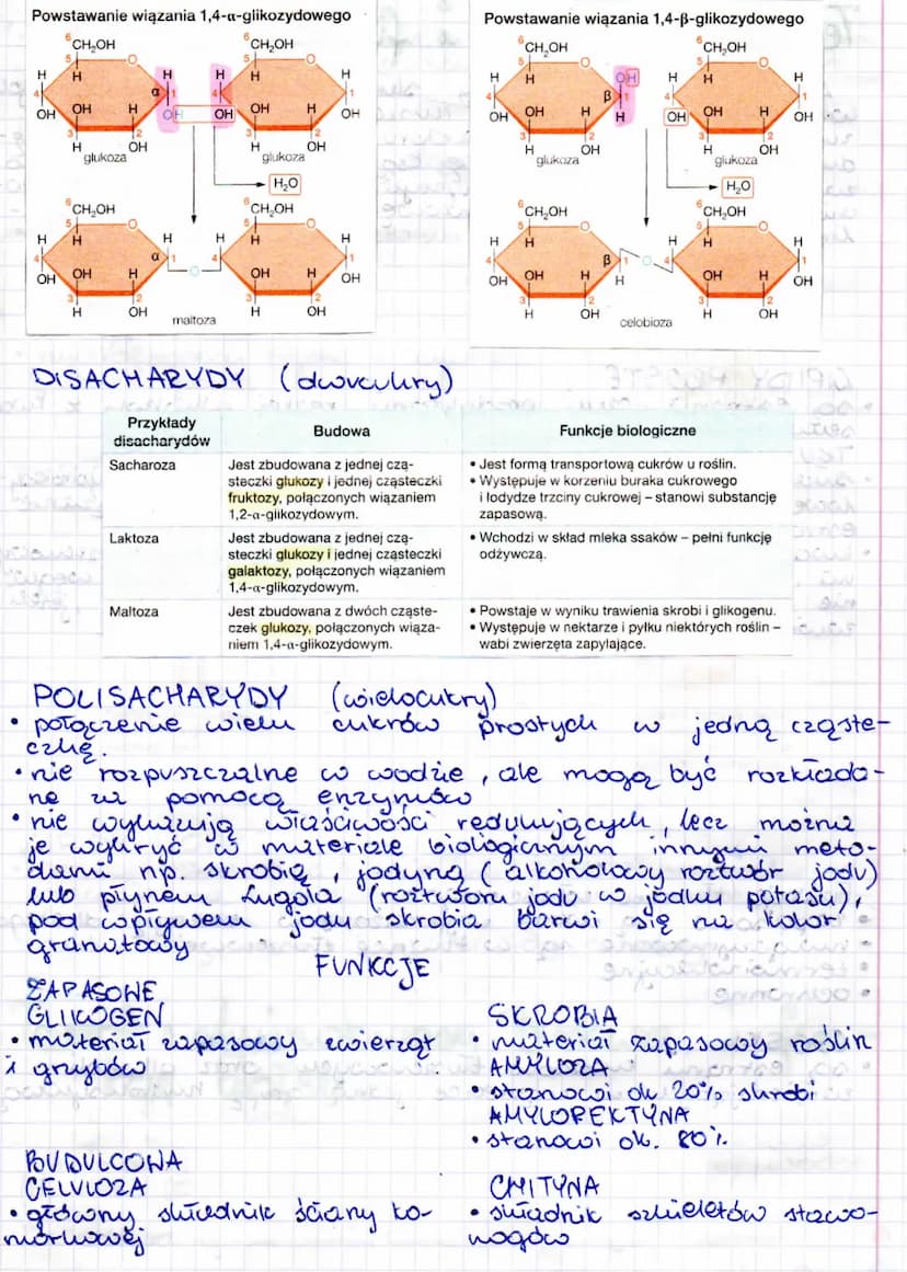 
<p>Węglowodany to związki chemiczne złożone z atomów węgla (C), tlenu (O) i wodoru (H). Ze względu na budowę cząsteczek cukrów wyróżniamy r