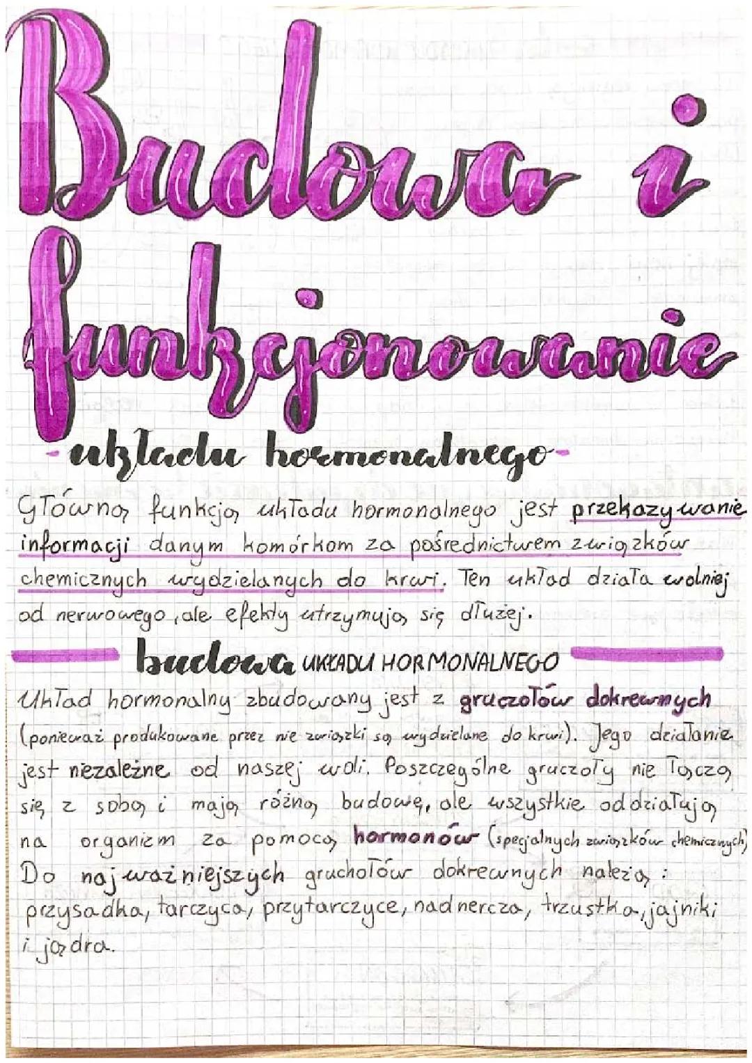 Układ hormonalny - notatka dla uczniów klasy 7