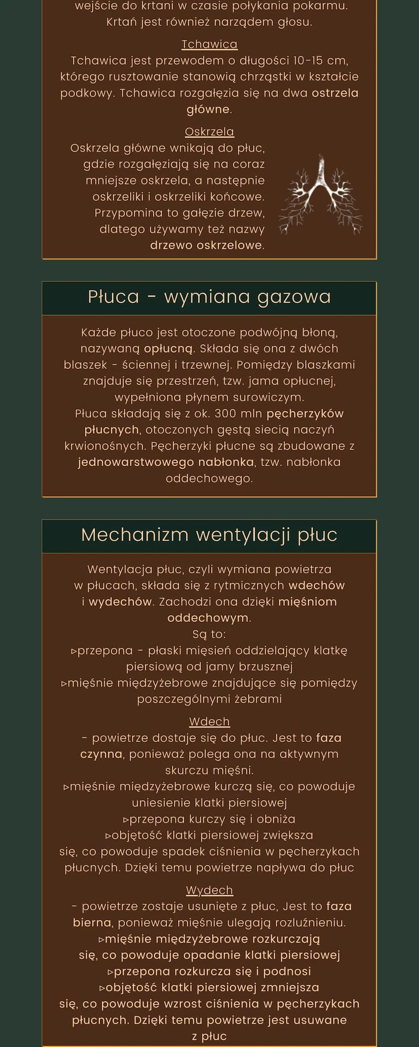 
<h2 id="funkcjeukaduoddechowego">Funkcje układu oddechowego</h2>
<p>Podstawowym zadaniem układu oddechowego jest zapewnienie wymiany gazowe