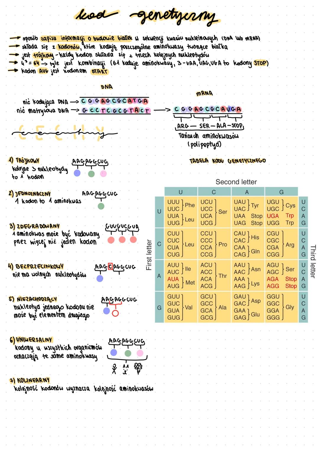 # kod genetyczny

- sposób zapisu informacji o budowie białek w sekwencji kwasów nukleinowych (DNA Lub MRNA)
- składa się z kodonów, które k