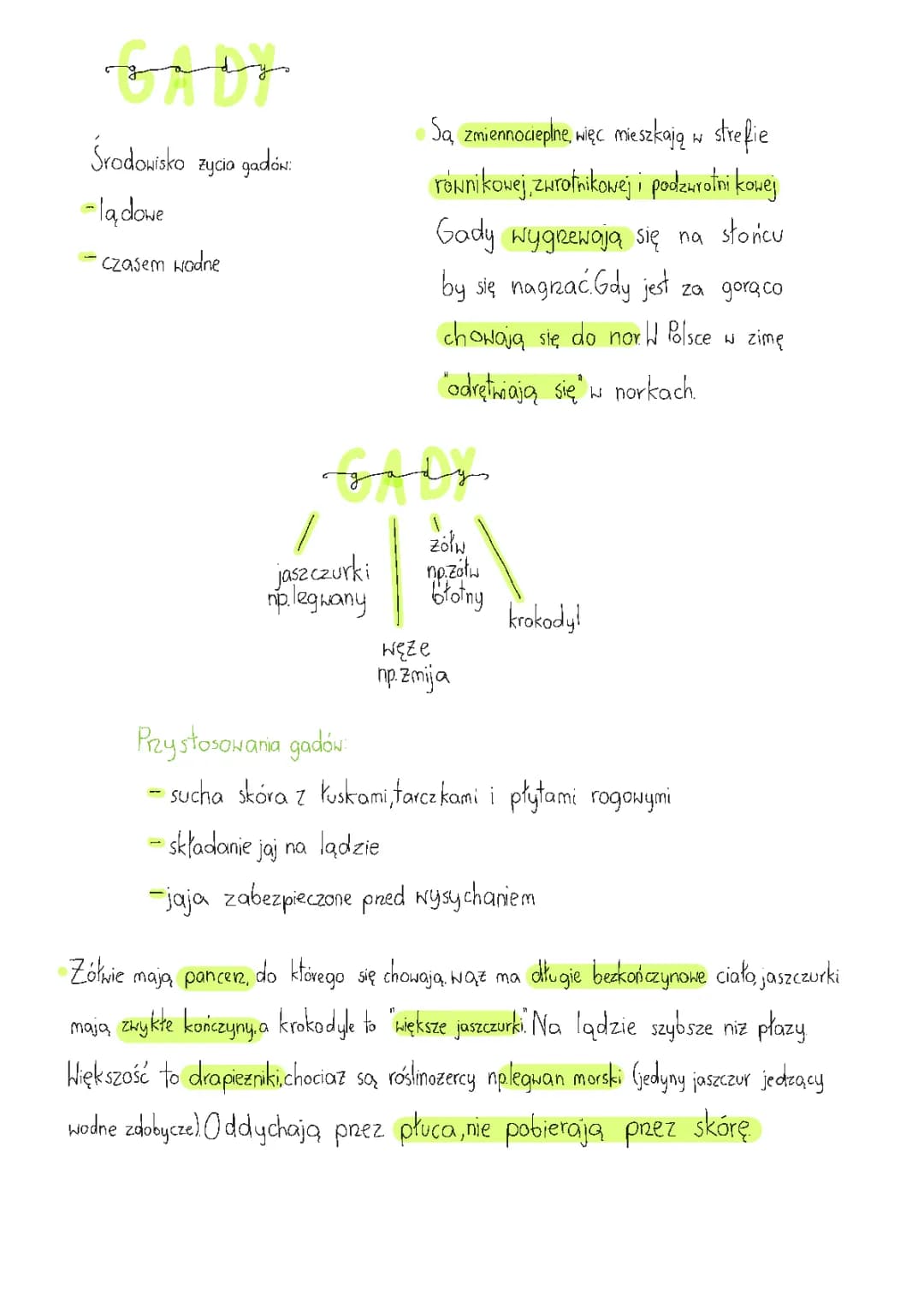 Gady w Polsce - Przystosowania, Budowa i Cechy