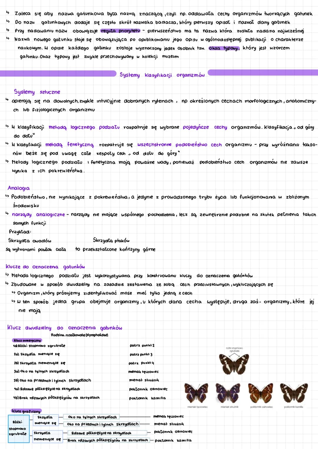 Klasyfikacja organizmów klasa 5: Systematyka, Królestwa i Drzewo Filogenetyczne