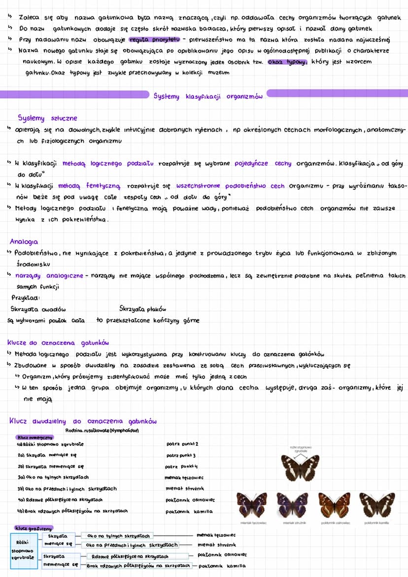 Dział Biologii Zajmujący Się Budową I Czynnościami Komórek Proste wyjaśnienie: Klasyfikacja organizmów klasa 5: Systematyka