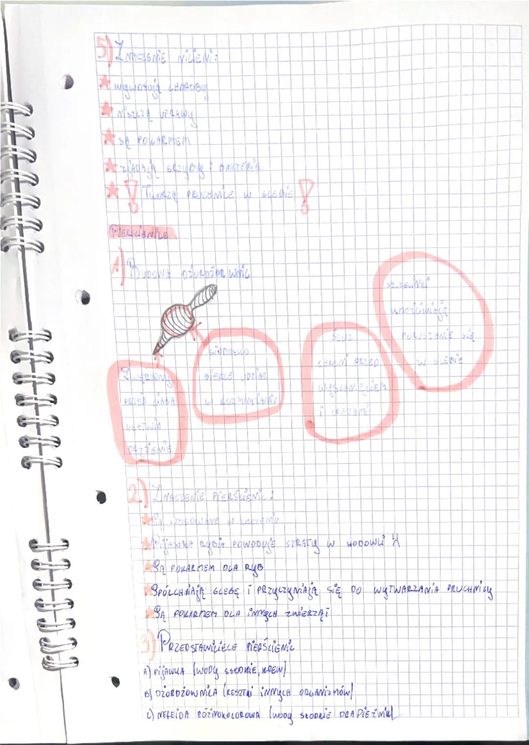 Biologiae

PLAZINCE

1) PRZEDSTAWICIELE PEAZIŃCÓW:

WYPŁAWEK

TASIEMIEC

2) Oozie
DZIE Zgig PEAZIŃCE?

NgPtAWEK W WODZIE

TASIEMIEC W CIELE 