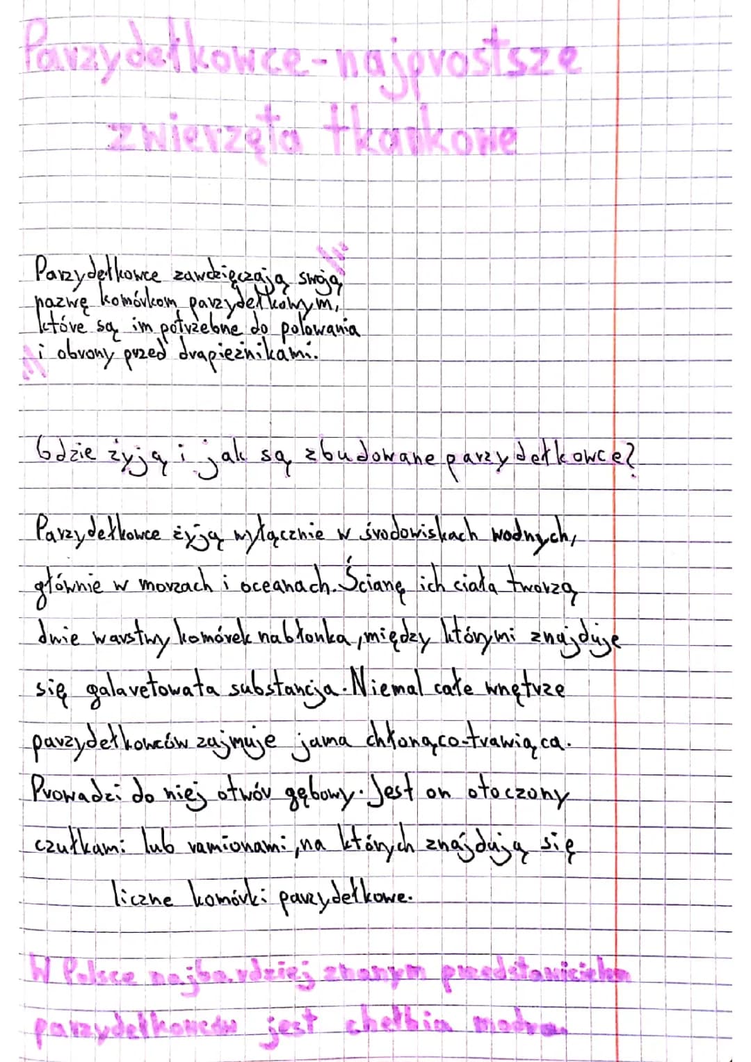 Ciekawostki o Parzydełkowcach: Rodzaje i Cykl Życiowy