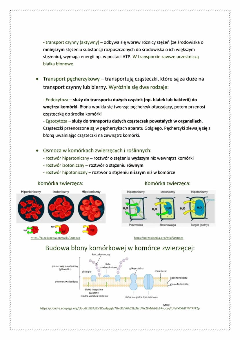 ●
●
●
Budowa i znaczenie błon biologicznych
Budowa błon biologicznych:
Błony biologiczne zbudowane są głownie z lipidów i białek.
LIPIDY - g