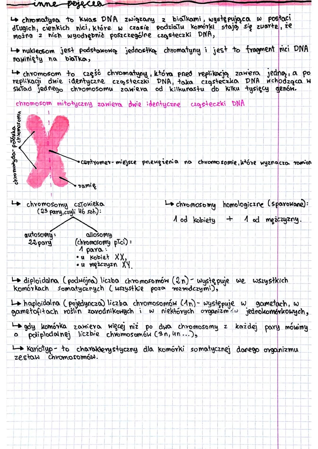 
<p><strong>Gen a genom: definicja</strong><br />
Gen to odcinek DNA zawierający informację dotyczącą budowy jednego białka lub jednej cząst