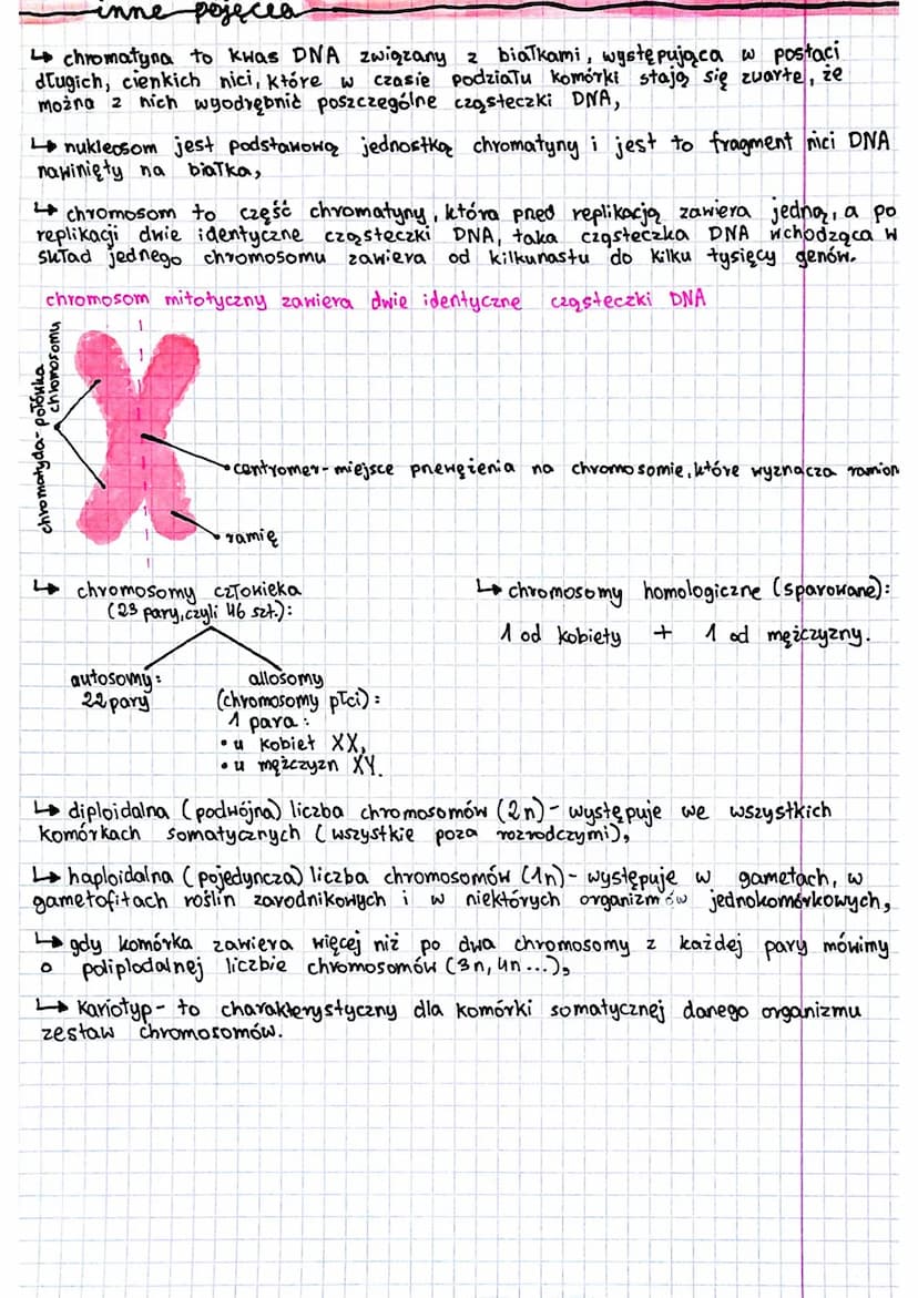 
<p><strong>Gen a genom: definicja</strong><br />
Gen to odcinek DNA zawierający informację dotyczącą budowy jednego białka lub jednej cząst