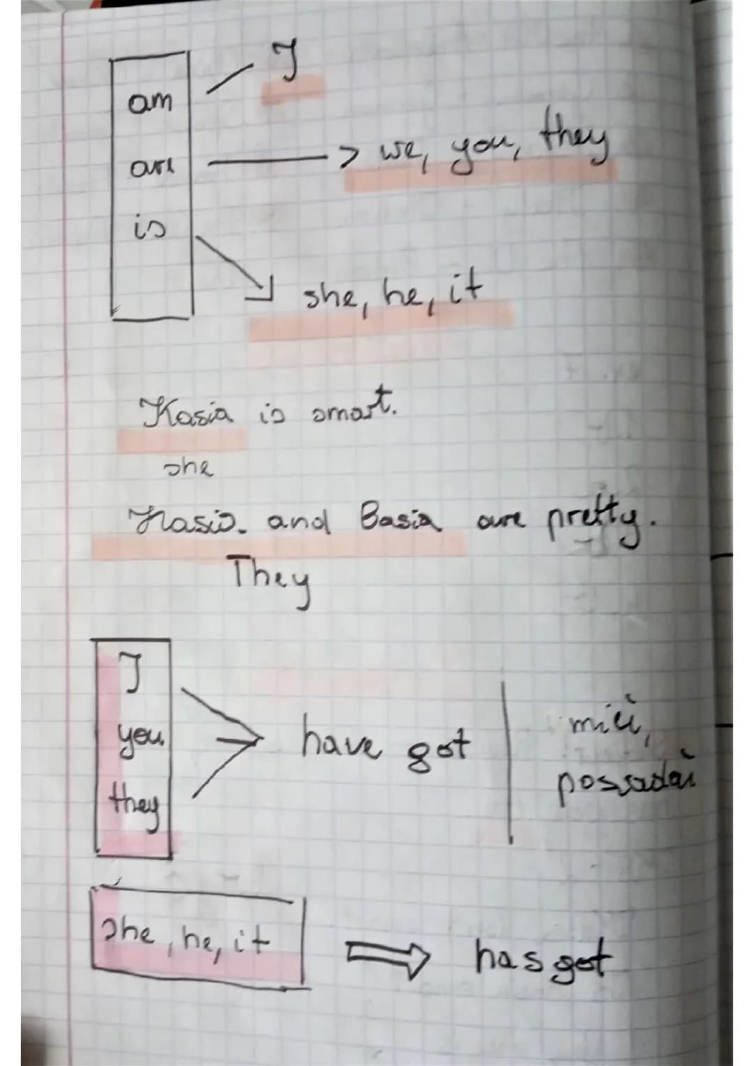Have Got vs. Has Got: A Fun Guide for Klasa 4 Students