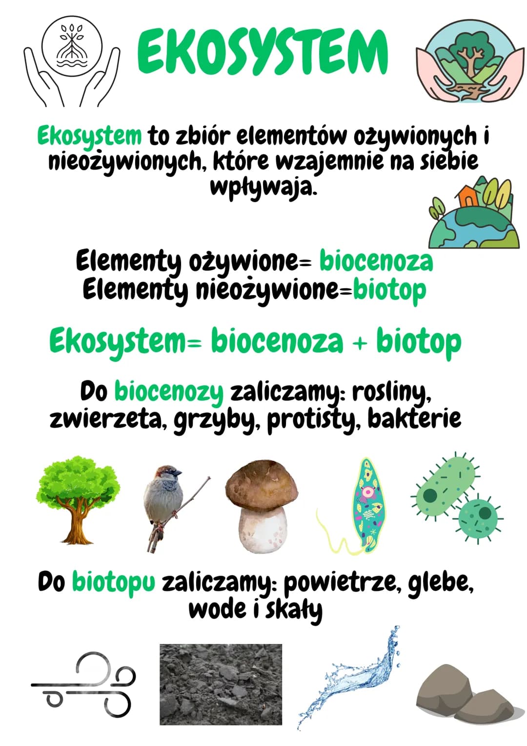 EKOSYSTEM
Ekosystem to zbiór elementów ożywionych i
nieożywionych, które wzajemnie na siebie
wpływaja.
Elementy ożywione- biocenoza
Elementy
