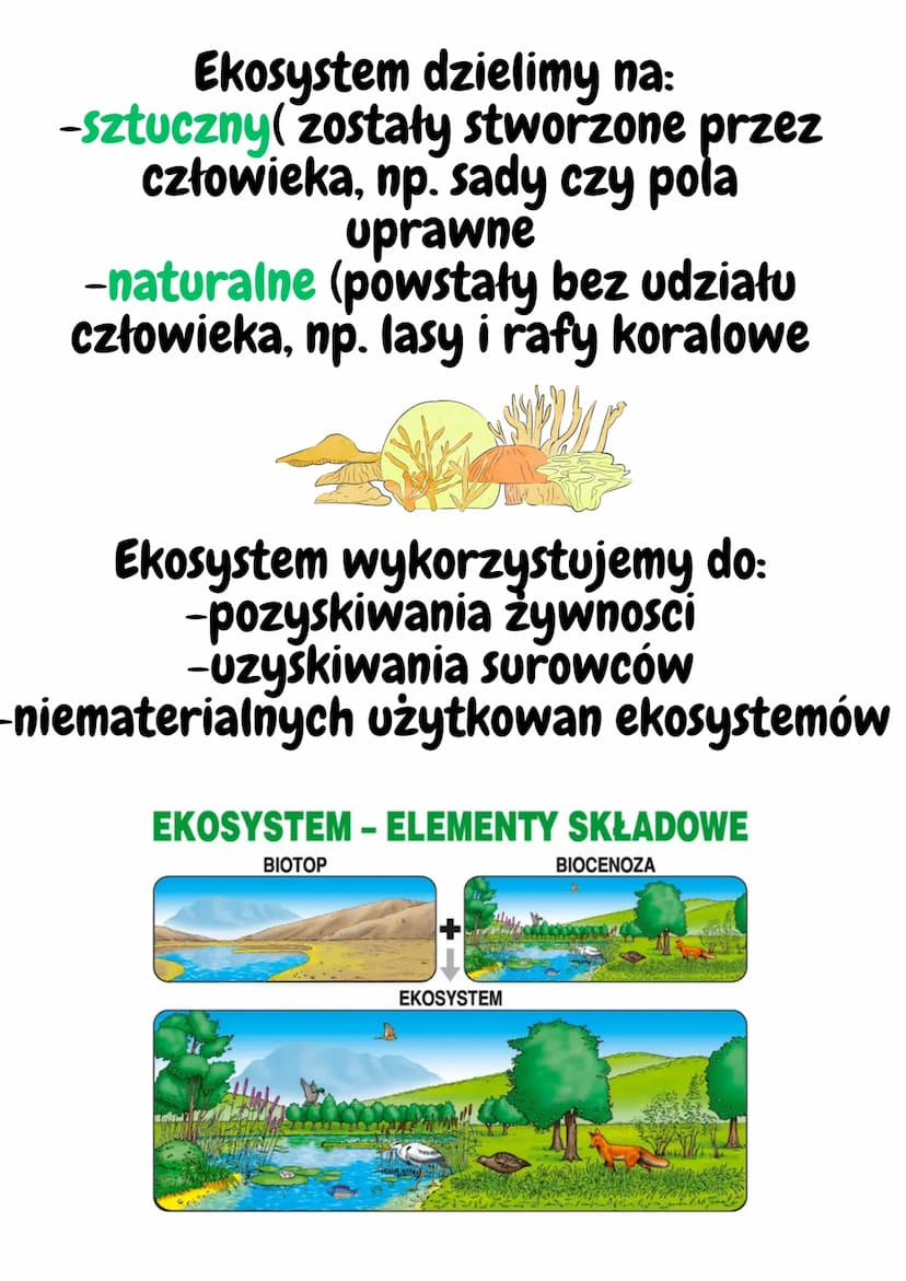 EKOSYSTEM
Ekosystem to zbiór elementów ożywionych i
nieożywionych, które wzajemnie na siebie
wpływaja.
Elementy ożywione- biocenoza
Elementy