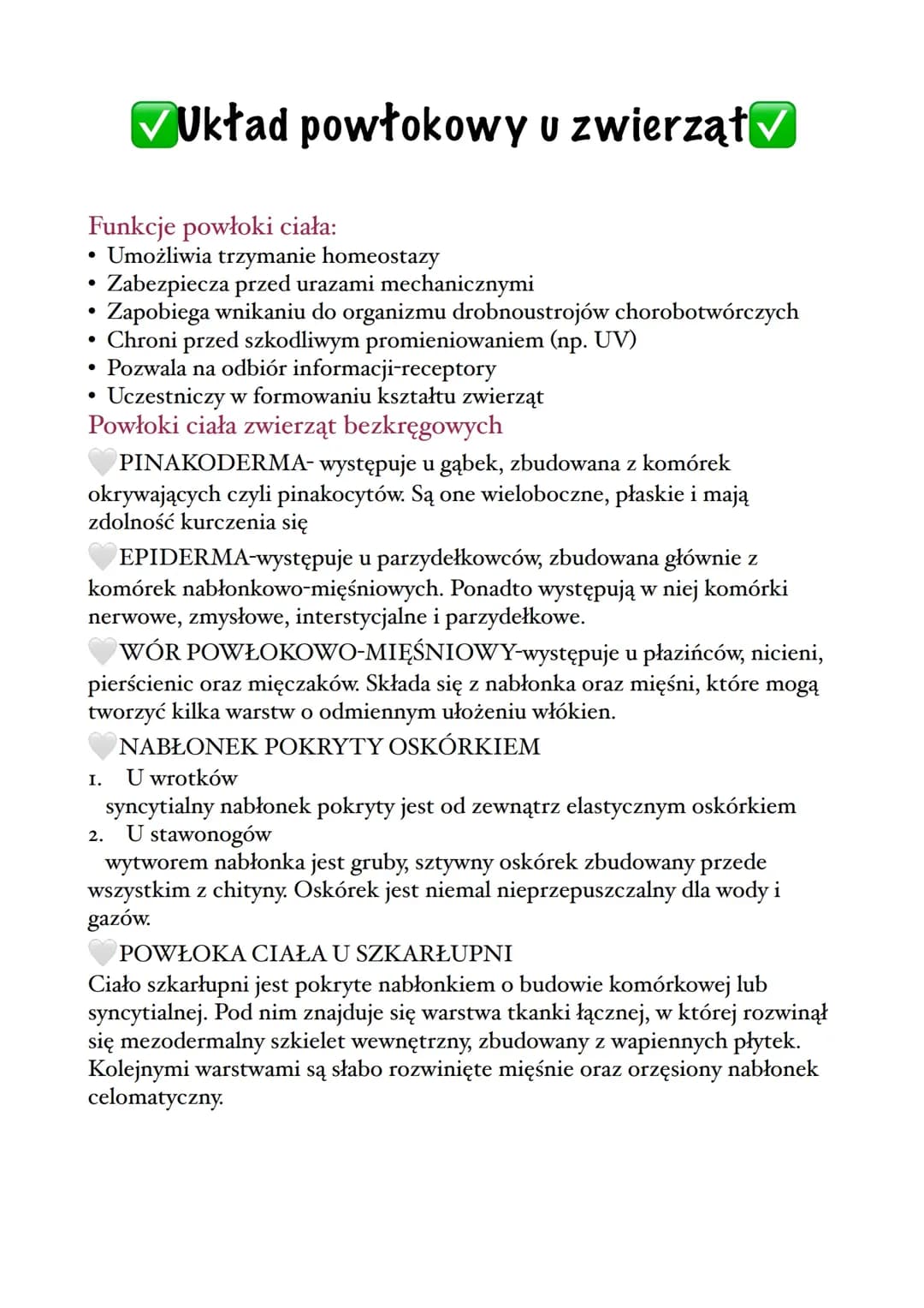 układ powłokowy u zwierząt 