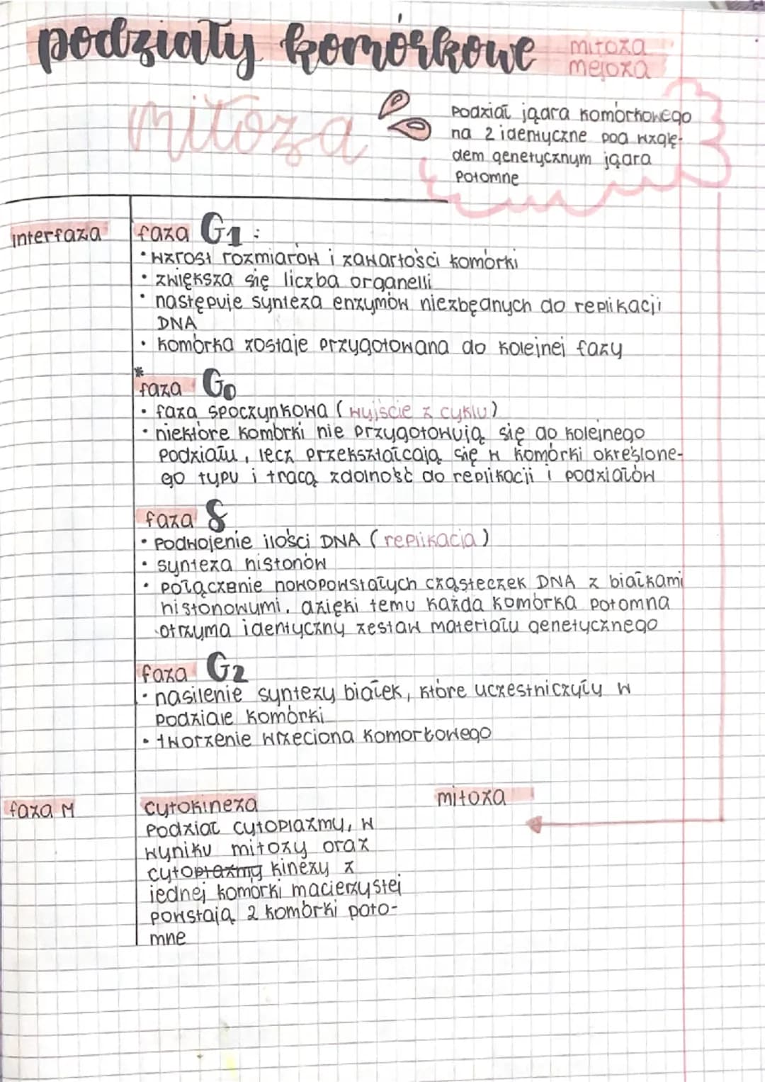 podziały komorkowe
mitoz a
interfaza faza G₁:
faza M
HXrost rozmiarow i zawartości komorki
• zwiększa się liczba organelli
·
następuje synte