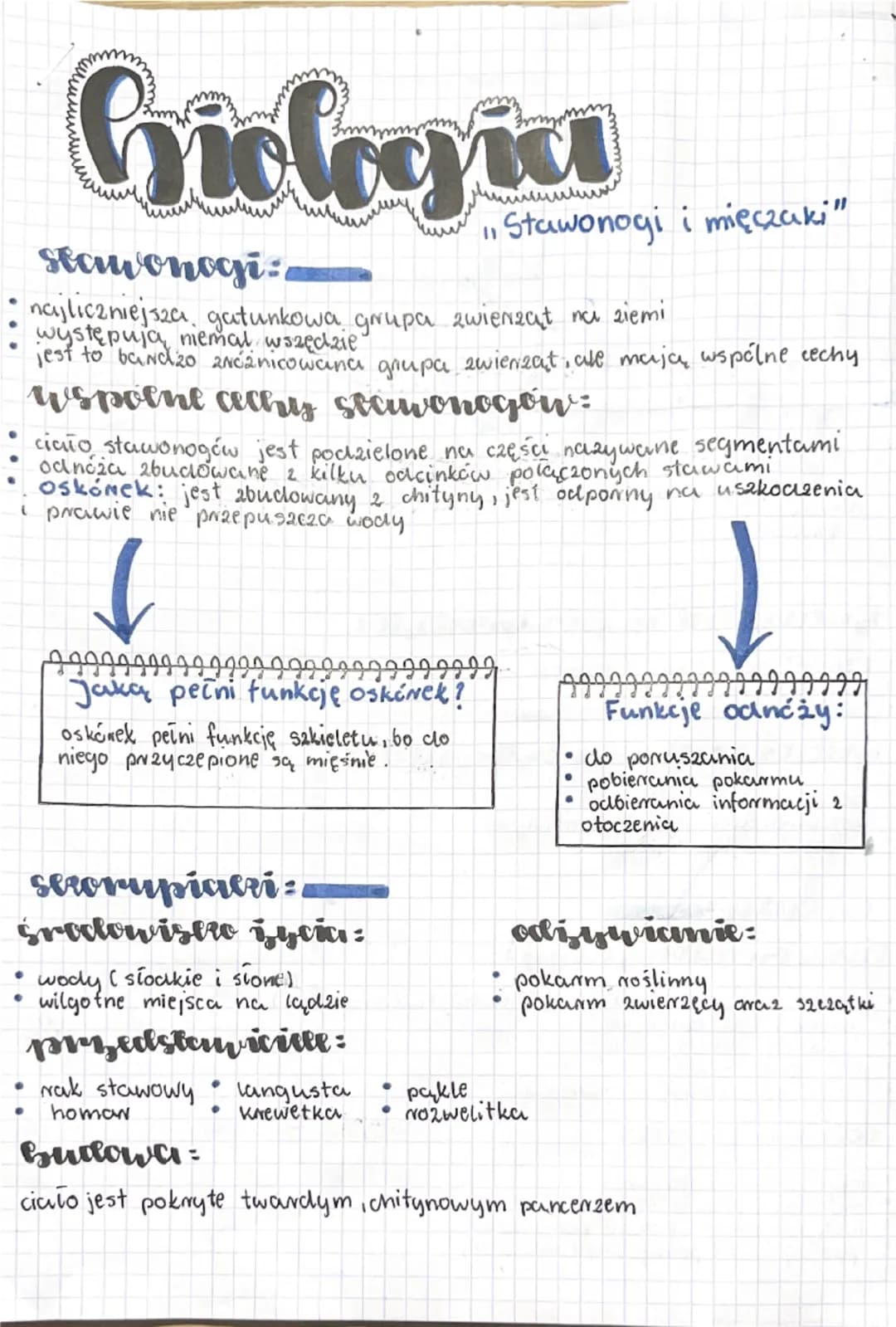 --- OCR Start ---
Giologica
"Stawonogi i mięczaki"
Stawonogi:
• najliczniejsza, gatunkowa grupa zwierząt na ziemi
• występują niemal wszędzi