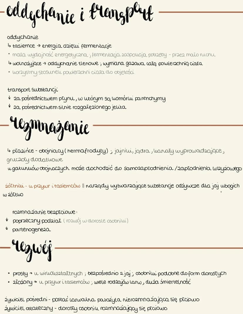płazińce
- cechy
spłaszczenie grabieto- brausane
✓usztatt liścia
✓ wiruouształtne, tasiemce, praywry
budowa
• zwierzęta trójwarstwowe (tray 