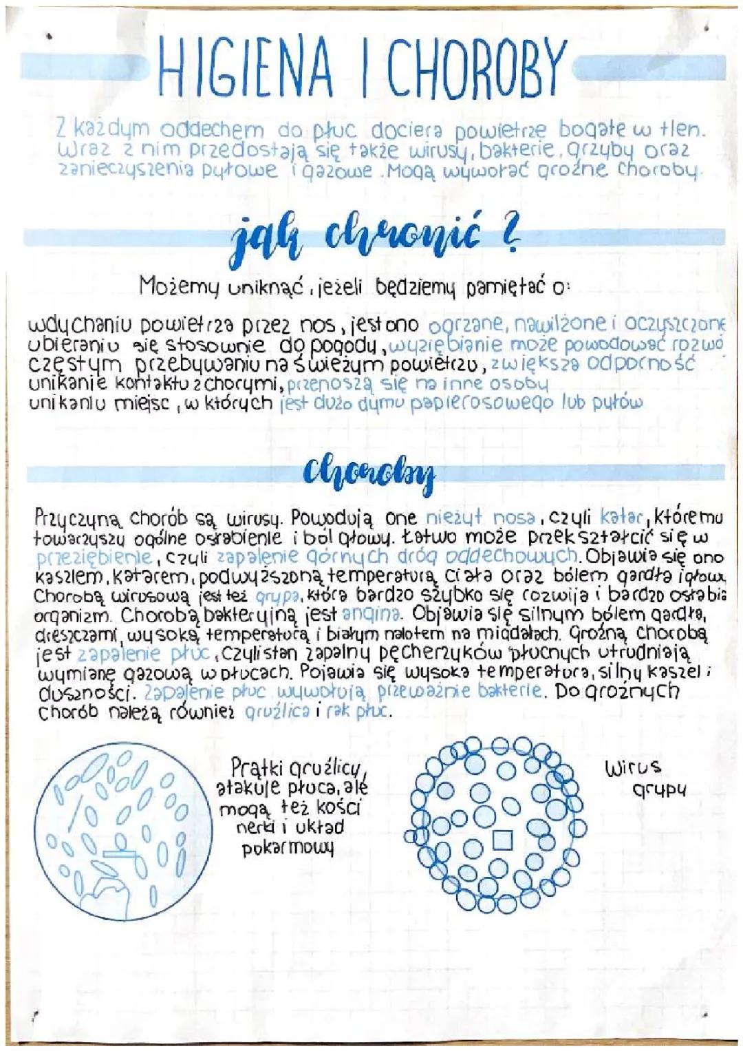 Higiena i choroby układu odpornościowego - kluczowe informacje