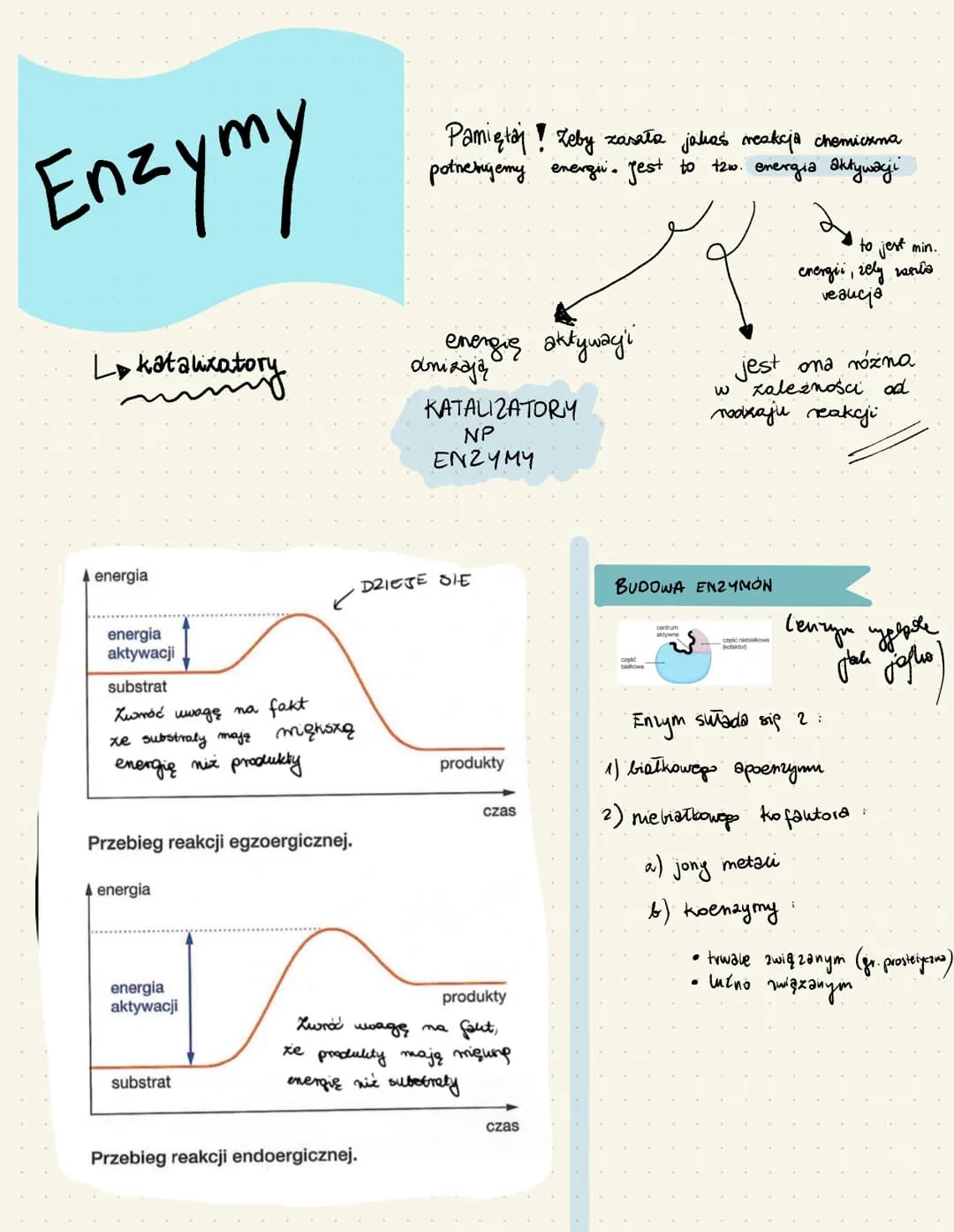 Enzymy
Lokatalizatory
energia
energia
aktywacji
substrat
Zwróć uwagę na fakt
xe substraty mają miększą
energię niż produkty
Przebieg reakcji