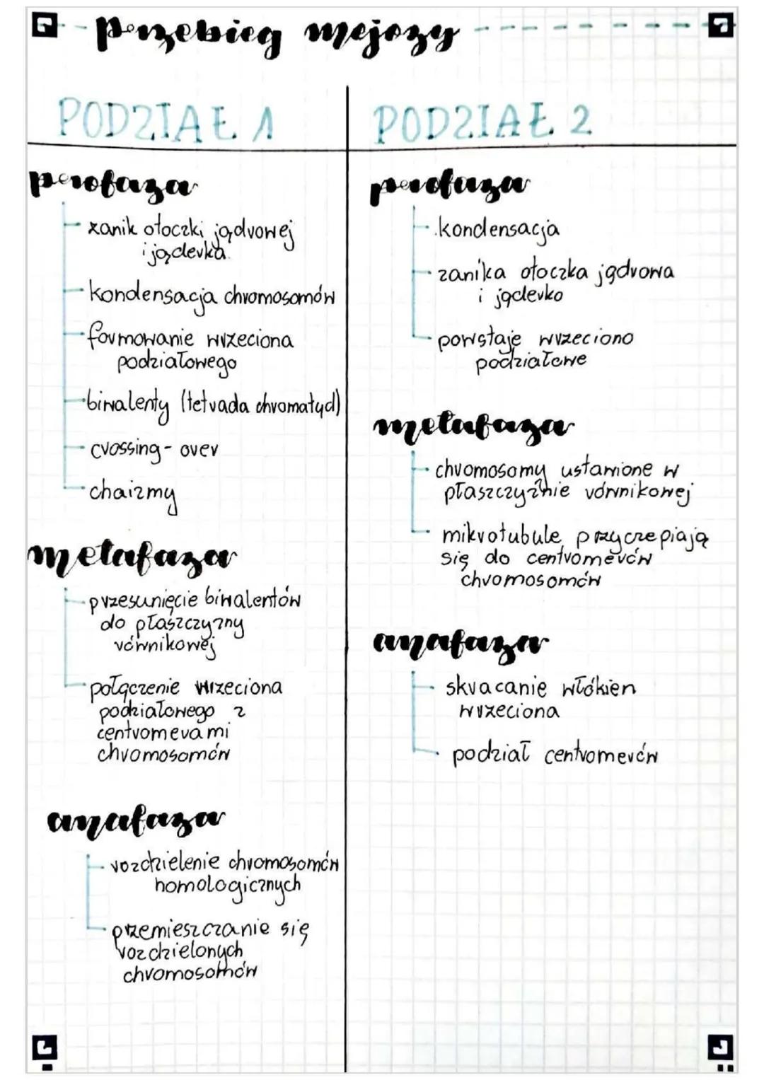r
# Mejoza

- Co to jest?

Mejoza to podział jądra komórkowego na cxtery komórki o
zvedukowanej o połowę chromosomÓN

### jakie ma znaczenie