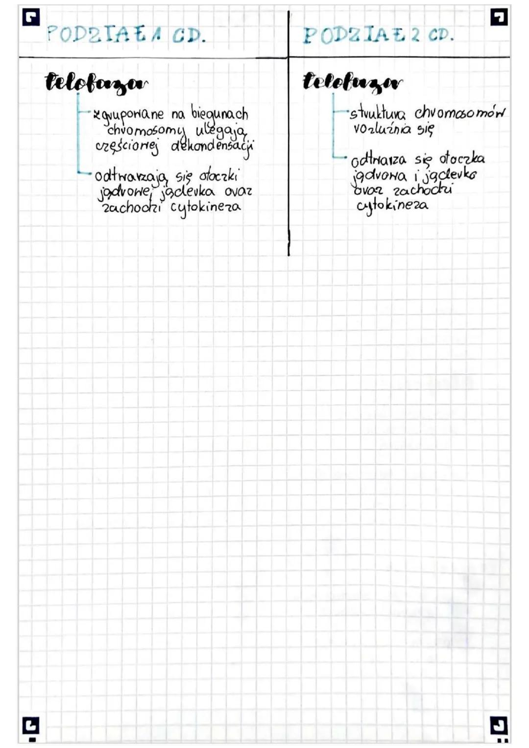 r
# Mejoza

- Co to jest?

Mejoza to podział jądra komórkowego na cxtery komórki o
zvedukowanej o połowę chromosomÓN

### jakie ma znaczenie