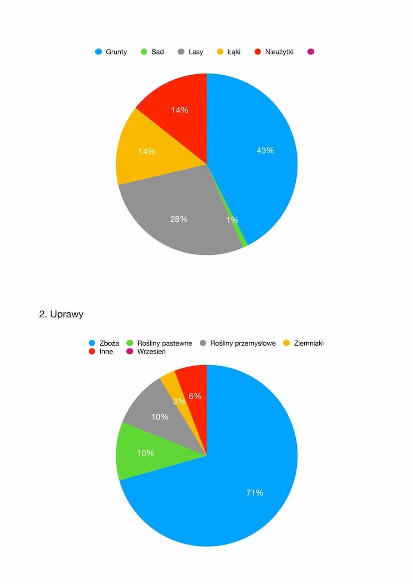 GOSPODARKA
Usługi - 57,9%
Przyrodnicze
Klimat, gleby
Ukształtowanie terenu
Rolnictwo - 11,6%
Czystość powietrza
Woda
30%
d) Funkcje rolnictw