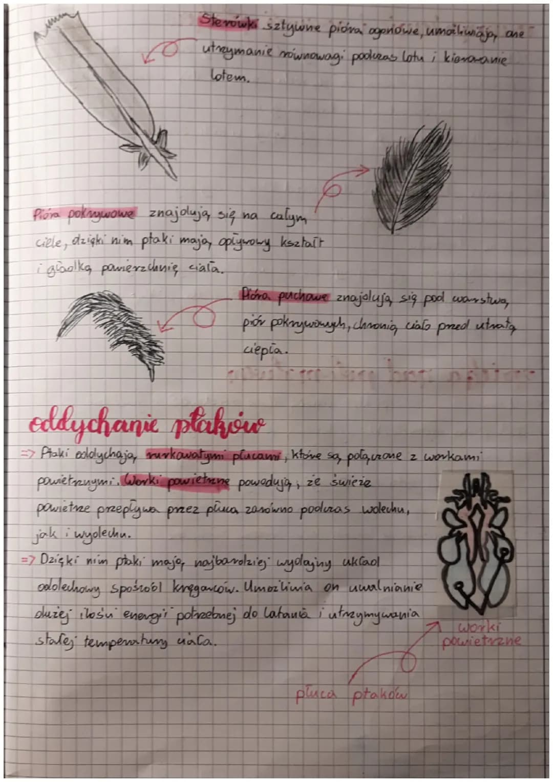 Biologics
ptaki kręgowce
zdolne do lotur
Halocieplnosi-
miejsce życia
• zdolność do utrzymyvania stałej temperatury
ciala, niezależnie od te