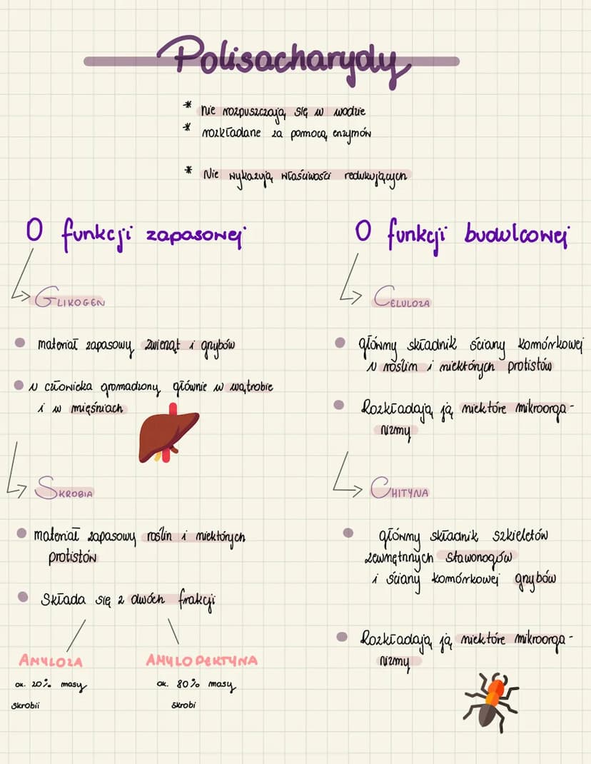 SACKARysy
Honosacharydy
(aukry praste)
* stodkic
*dobne rozpuszczalne w H₂O
*
maja, od 3 do 8 atomon с
- triory (са
4 tetrory ссил
↳ pentory