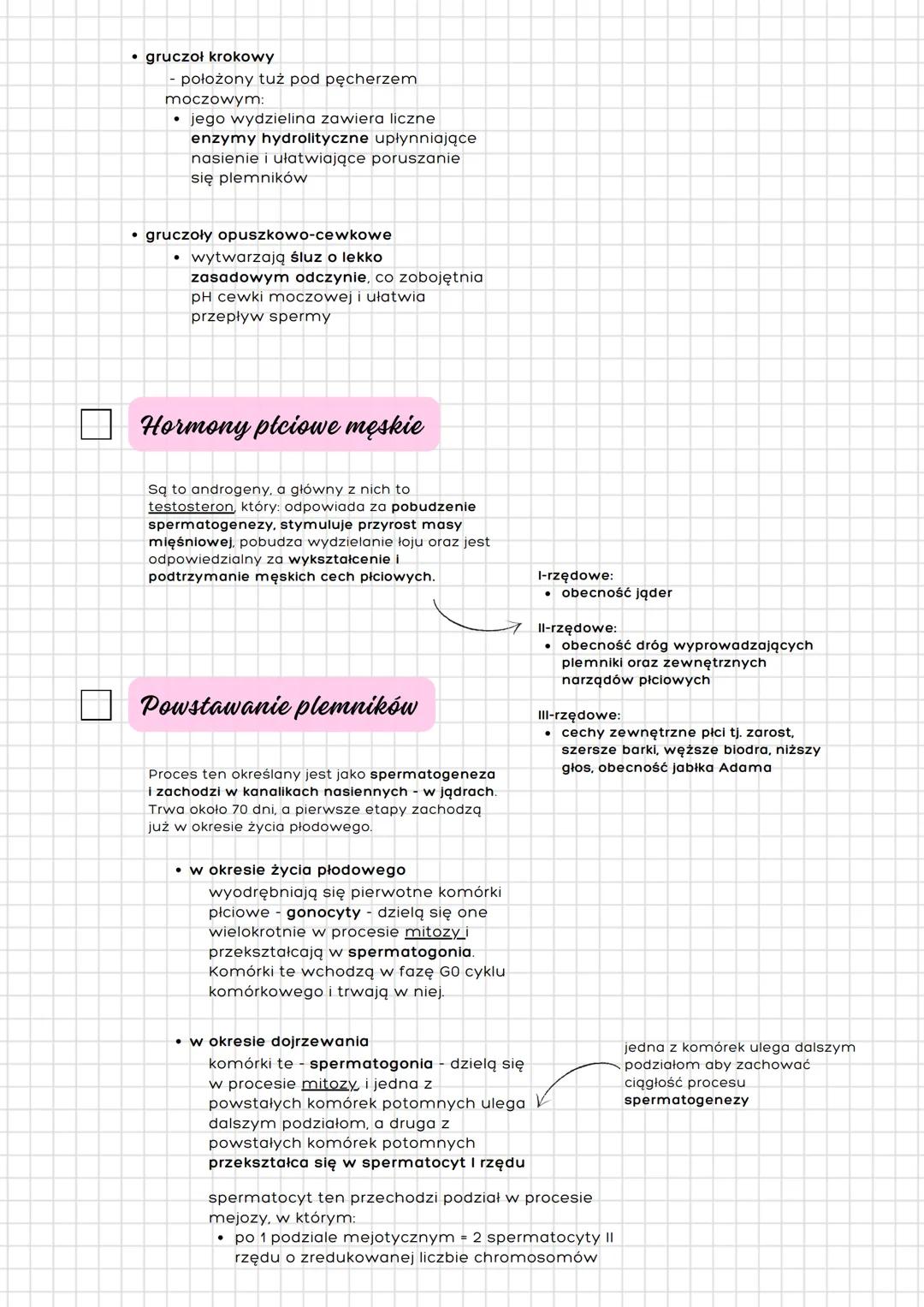 Układ
rozrodczy
męski
Męskie narządy rozrodcze
Budowa
- narządy zewnętrzne
- prącie
- moszna
- narządy wewnętrzne
- jądra
- najądrza
- nasie
